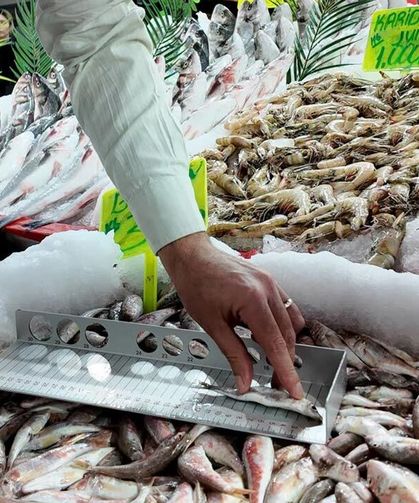 Çankırı’da balık tezgâhları denetlendi: Boyuna ve türüne tek tek bakıldı