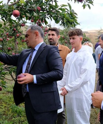 Vali Çakırtaş öğrencilerle birlikte elma hasadı yaptı