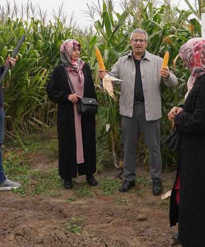Korgunlu kadın çiftçiler Sakarya’da mısır üretimini yerinde inceledi