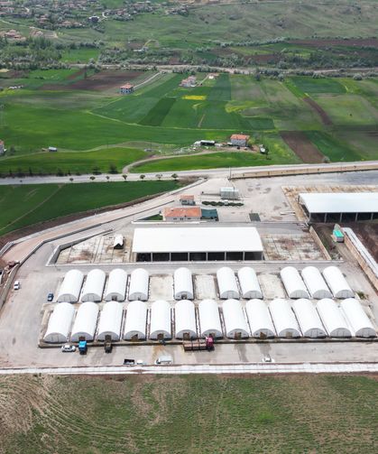 Çankırı’da Hayvan Pazarları Yeniden Açıldı
