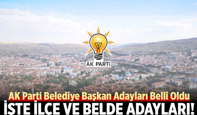 AK Parti Çankırı ilçe ve belde belediye başkan adayları...
