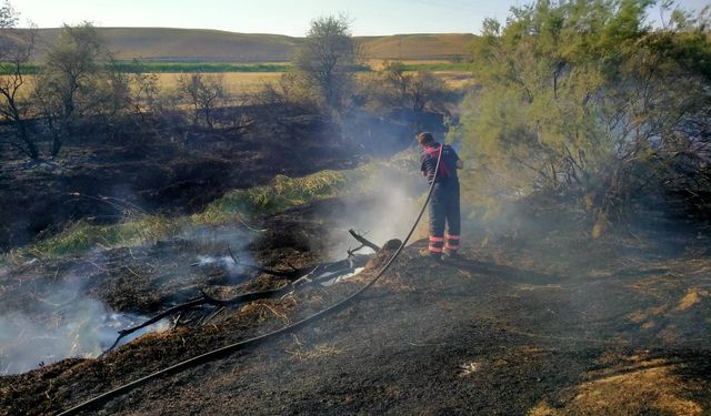 Çankırı'da arazi yangını: Her yer küle döndü
