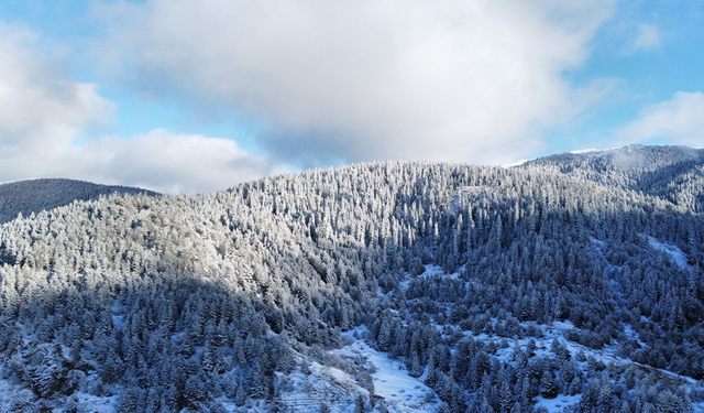 Ilgaz birlik oldu! Senato'dan Turizm Fakültesine 'Ilgaz' ismi eklenmesi kararı