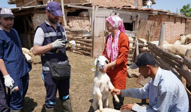 Çankırı'da ki çiftçilere uyarı: "Destek alamayacaklar"