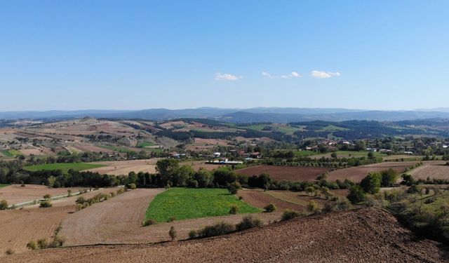 Çankırı'da bilinçli tarım meyvesini verdi: Çeltik hasadında rekor verim