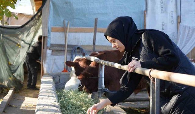 Devletten aldığı destek ile genç yaşta besici oldu