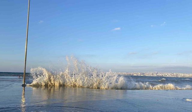 İstanbul’da lodos etkili oldu, deniz anaları kıyıya vurdu