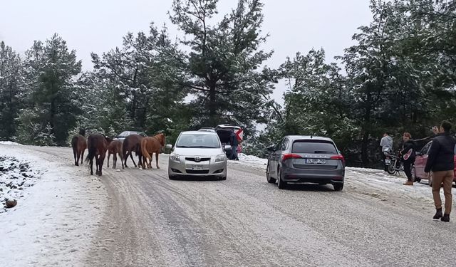 Spil Dağı Milli Parkı beyaza büründü