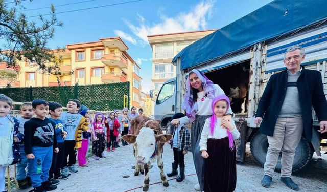 Yerli Malı Haftası’nı okula getirdikleri ‘inekle’ kutladılar