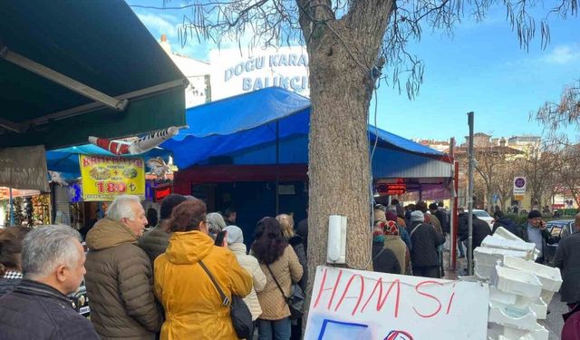 Hamsi rekabetinde fiyat 50 liraya kadar düştü