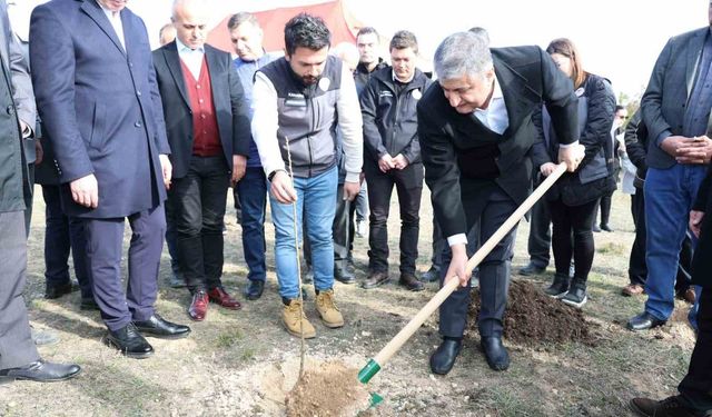 Karabük’te sumak fidanları toprakla buluşturuldu