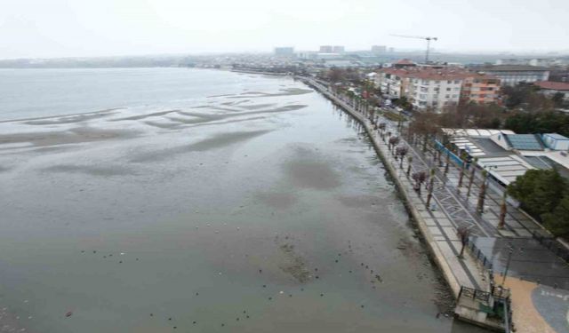 Silivri’de ürküten görüntü: Deniz 150 metre çekildi