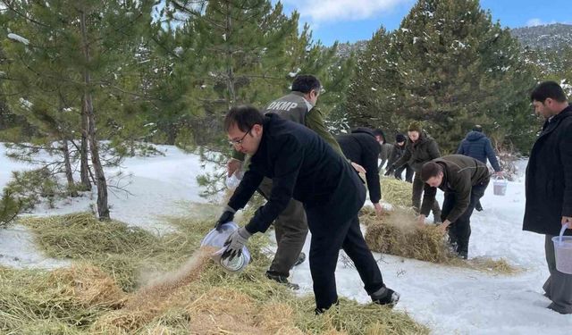 Yaban hayvanları için karla kaplanan ormanlara yem bıraktılar