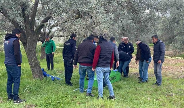 Zeytin bahçesinde cansız bedeni bulundu