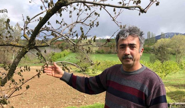 "Ürünlerimiz dondu, hayallerimiz kayboldu"
