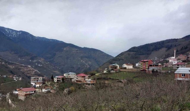Danıştay kararını verdi; 35 yıl sonra Giresun’a bağlandılar