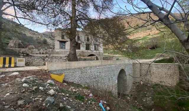 Diyarbakır’da 485 yıllık Atak Ulu Cami’nin bakımsızlığı dikkat çekiyor