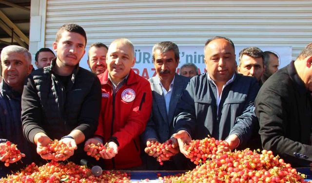 İlk kirazın kilosu 3 bin 500 TL’den satıldı