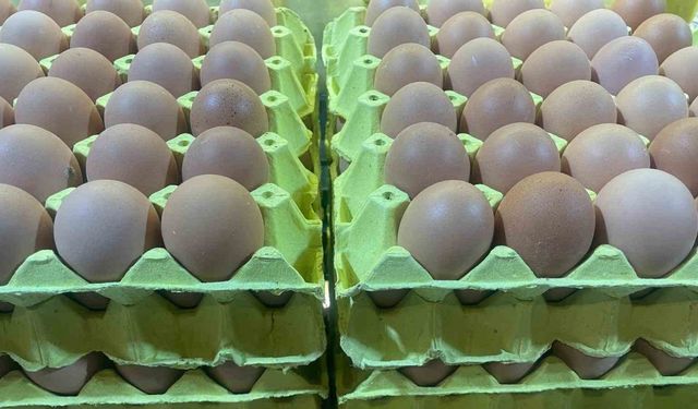 Yumurta fiyatları "mayıs çukuru" yaklaşınca düşüşe geçti
