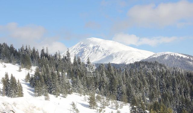 Ilgaz Dağı’nda kar kalınlığı 25 santimetreye ulaştı