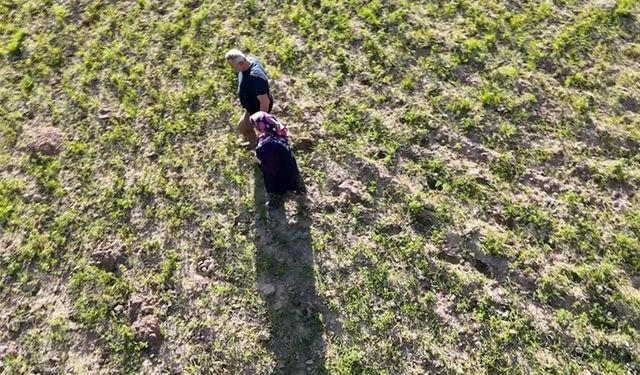 Meyve ağaçları zirai dondan etkilenen Çankırılı çiftçiler, hububattan umutlu