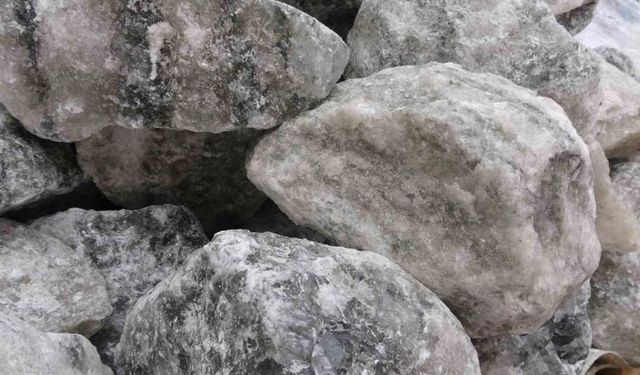 Tuz sektörü için önemli program: 4 milyon lira destek sağlanması planlanıyor
