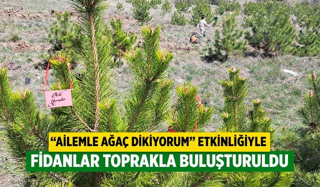 Kurşunlu'da fidanlar toprakla buluştu