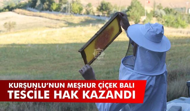 Kurşunlu'nun meşhur çiçek balı tescile hak kazandı