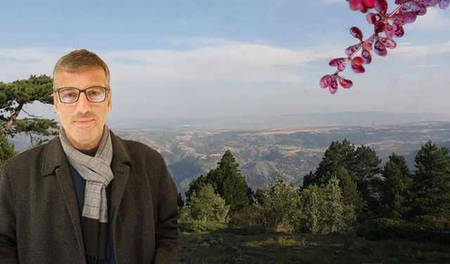 Çankırı'da bölgeye özgü endemik bitki zengini