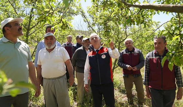 Tarım İl Müdürü Candan, çiftçilerle sahada buluştu