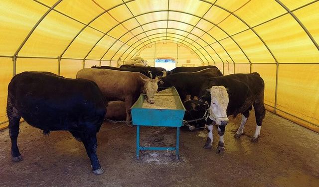 GÜNDEM