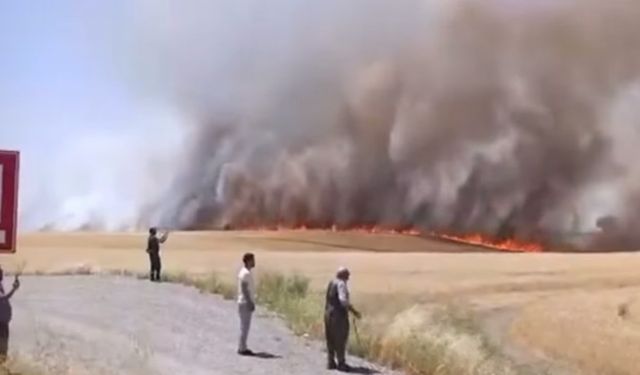 ASAYİŞ