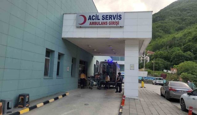 Kastamonu’da akrebin soktuğu kadın hastanelik oldu