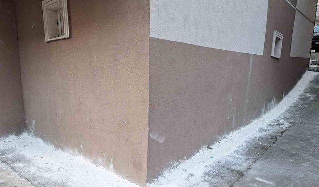 Mahalleyi böcekler bastı, vatandaşlar tedirgin oldu