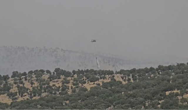 ASAYİŞ