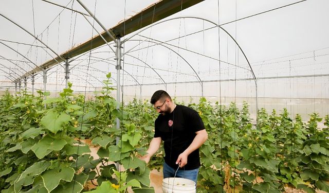TİKA, Filistin’de üretim tesisleri kuruyor
