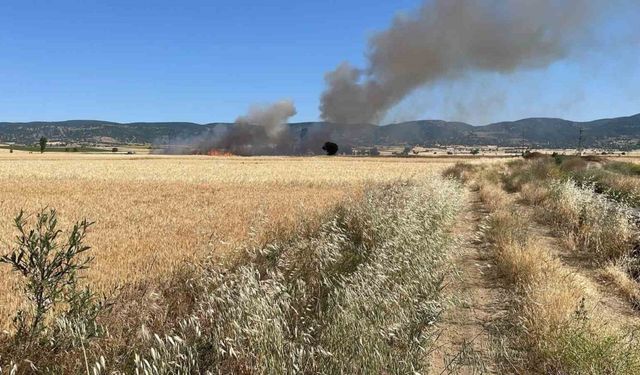 Yozgat’ta 20 dönüm ekili alan kül oldu