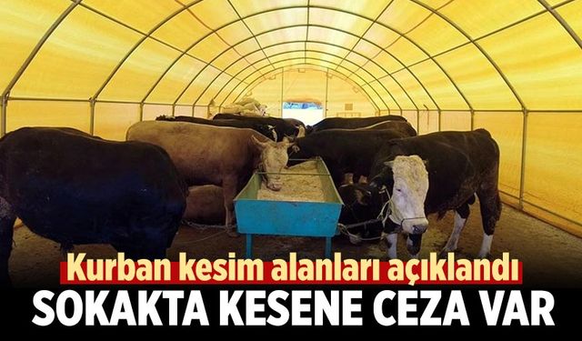 Çankırı’da kurban kesim alanları açıklandı: Sokakta kesene ceza var