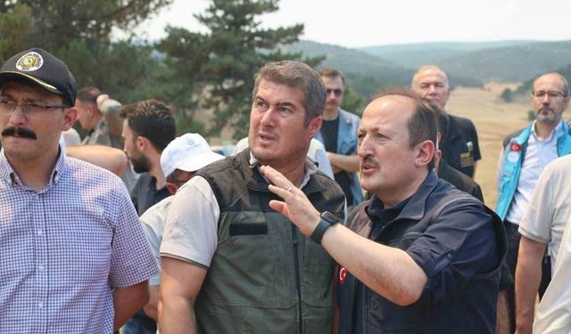 AFAD: "Yangınlara karşı mücadele kapsamında 4 bin 231 personel, 45 hava aracı ve bin 236 kara aracı görev yapmaktadır"
