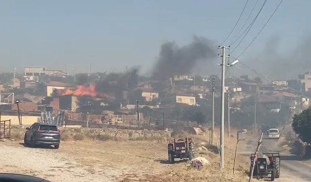 ASAYİŞ