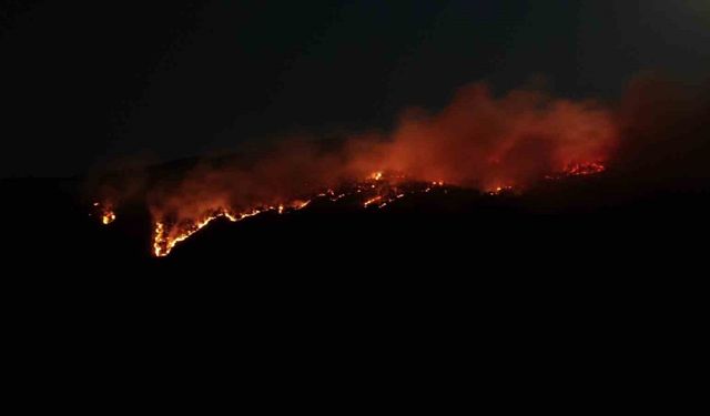 Çankırı’daki orman yangını havadan görüntülendi
