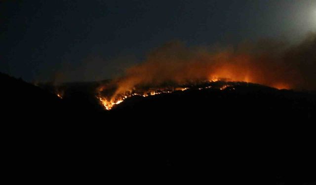 Çankırı’daki orman yangınına ekiplerin müdahalesi sürüyor