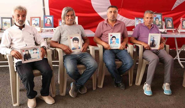 Diyarbakırlı aileler silah bırakma sürecinden umutlu