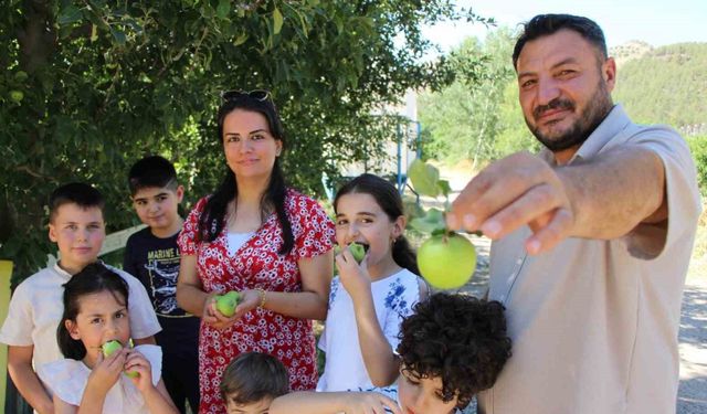 Don felaketinden korunan elmaları satmayıp bahçesine gelenlere ikram ediyor