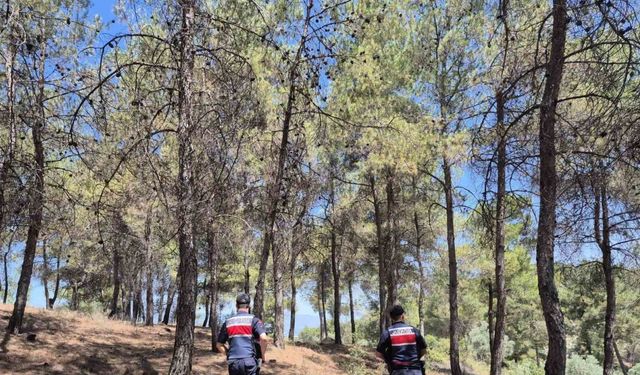 Jandarmanın ‘orman’ nöbeti aralıksız devam ediyor