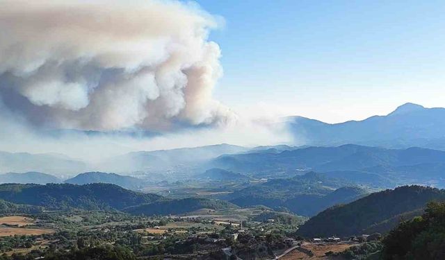 Suriye’de devam eden orman yangını Türkiye sınırına ulaştı