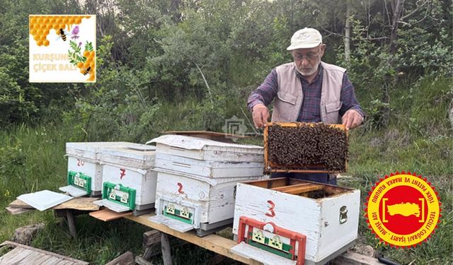 Çankırı'da coğrafi işaretli balın hasadı başladı