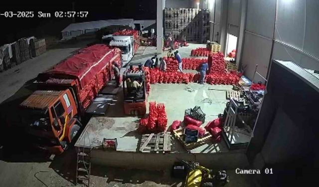 Amasya soğanı Avrupa’ya satılıyor