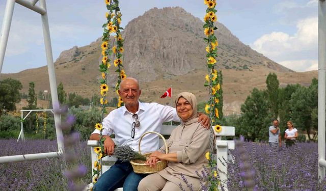 Âşık olduğu dağın eteğine lavanta bahçesi kurdu, kartpostallık görüntüler oluştu
