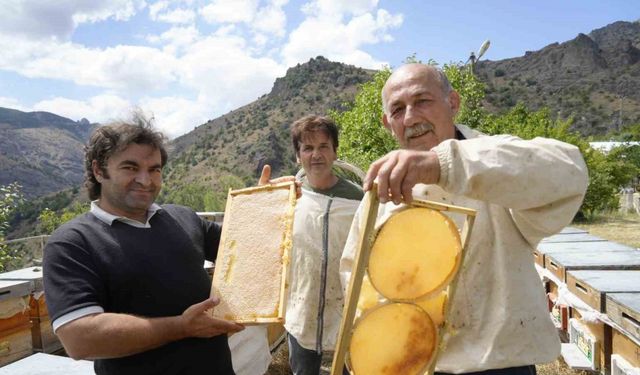 Gümüşhane’de 2025 yılı bal hasadı üreticilerin yüzünü güldürdü